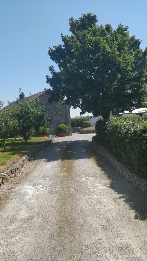 Tig Rua Villa Killarney Buitenkant foto